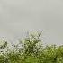 Tere Rang Rang By Abrar Ul Haq Short Pakistan Villagelife Youtubeshorts Muslimworld Nature