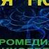 Вячеслав Дубынин ХИМИЯ МОЗГА ОТ НЕЙРОМЕДИАТОРОВ ДО ПСИХОДЕЛИКОВ Biofak МГУ Часть 6