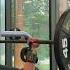 Bench Day Light Bench Day Gym Subscribe