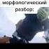 Морфологический разбор
