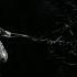 TH EN Empser Original Mix VP