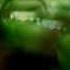The Underachievers Herb Shuttles Official Music Video