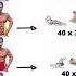 Six Pack Workout Abs Exercises