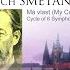 Má Vlast My Country Cycle Of 6 Symphonic Poems Poem II Vltava The Moldau River