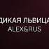 ДИКАЯ ЛЬВИЦА ALEX RUS
