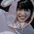 Bunny Bunny Bunny The Golden Orchestra Sub Español