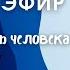 Вечная сущность человека 2 Исследователь Геннадий НЕПОКОЙЧИЦКИЙ Прямой эфир 19 октября 20 00 мск