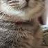 Мальчик красавчик Subscribe Cute Valeracat Valera Cutebaby Ukraine