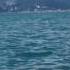 Почему морская вода солёная вопрос конспирологам