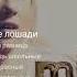 Мика Ньютон Белые лошади Cover