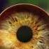 The Rarest Eye Colors In The World