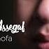 Muhammad Hadi Assegaf Innal Habibal Musthofa Official Lyric Video