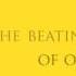 30 Seconds To Mars 100 Suns Lyric Video