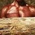 DAVID GOGGINS X Memory Reboot It S A Lonely Journey Slowed