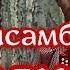 Ансамбль Калина Частушки