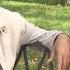 Владимир Турапин Интервью в Михайловском С поэтессой журналистом Оксаной Соболь 2019