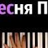 Песня Присциллы OST Ведьмак 3 караоке PIANO KARAOKE ᴴᴰ НОТЫ MIDI
