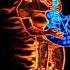 BACKTRACK FINAL COUNTDOWN GUITAR SOLO ONLY Europe