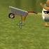 чикенган Shorts сегодня мы будем кататься на тележке Chickengun Fypシ