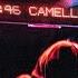 1 HOUR CAMELLIA OBLXKQ SLXEPING TOKYO