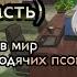 Я попала в аниме Великий из бродячих псов Gacha Club Не оригинал