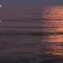 New Dreams Slowmotion Mix