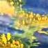 21 YUNUS ALAYHISSALOM Xvid Avi