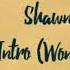 Shawn Mendes Intro Wonder Lyric Video