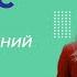 Система растений и животных отображение эволюции Видеоурок 8 Биология 11 класс