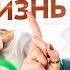 Черное золото ЭТО должно быть в каждом доме Восточный секрет долголетия