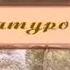 Литературоведение Часть 2