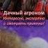 ОБРАБОТАННЫЕ СЕМЕНА зачем и почему