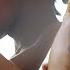 Gay Porn Star Not Just An Asian Submissive Boy
