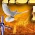 Catholic Mass Today Daily Holy Mass In Punjabi Rev Fr William James Sahota 31 MAY 2025