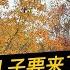 丈夫前任婚姻的孩子要来了 我该怎么面对 一位妻子的焦虑 怎样和丈夫前任的孩子相处