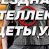 БЕЗДНА ПСЕВДОИНТЕЛЛЕКТУАЛЬНОЙ НИЩЕТЫ УМА Морозный Комментарий 15