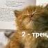 танцуй если знаешь этот тренд 2023 года