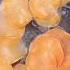 Real Chocolate Chips L Surprisingly So Good With Sweet Potatoes