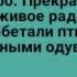 Стеллар звездный волк 4 серия