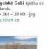 Bi Mongol Hvn
