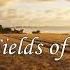 Sting Fields Of Gold перевод субтитры