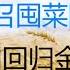 财经冷眼 高层号召节约粮食 商务部号召囤菜囤日用品 释放什么信号 法币泛滥 恶性通胀 又一国回归金本位 推荐一个明年或翻倍的资产 上海迪斯尼打脸 清零 政策 20211102第662期