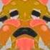 Family Guy Peter Vs Ernie The Giant Chicken In CoNfUsIoN