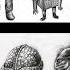 Ложь как правда 1 History история