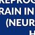 Reprogram Your Brain To Create Your Dream Life With Dr Joe Dispenza