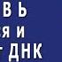 СВЕКРОВЬ требует СДЕЛАТЬ тест ДНК нашему сыну уверяя что ребёнок НЕ ПОХОЖ на МУЖА а он и повёлся