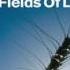 ATB The Fields Of Love Original Mix HD