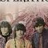 Steppenwolf Desperation