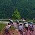 Giro D Italia 2025 Stage 19 Highlights