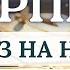 СКОРПИОН ОТКРОЮТСЯ НОВЫЕ ВОЗМОЖНОСТИ В ЛЮБВИ И РАБОТЕ ГОРОСКОП НА НЕДЕЛЮ С 23 ПО 29 ИЮНЯ 2025